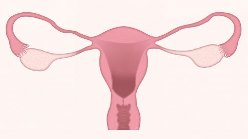 Know your Uterus!